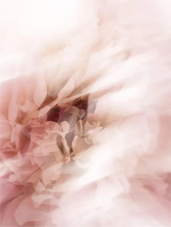 Auvine – Oogverzorging Collectie