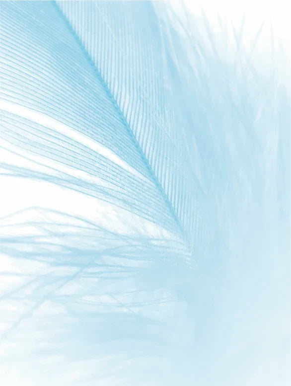 Auvine Hydratatie Collectie – intens hydraterende huidverzorging voor een soepele, stralende huid